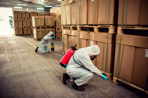 Professional Pest Control in Burton, MI