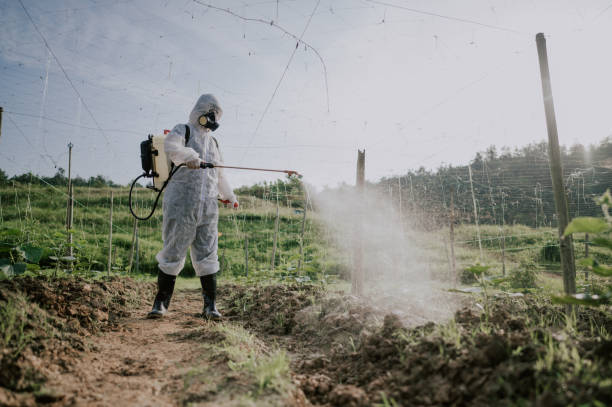 Pest Control Cost in Burton, MI