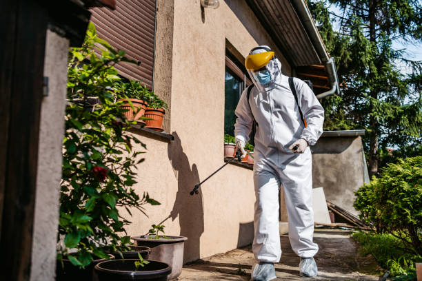 Best Exterminator Services  in Burton, MI