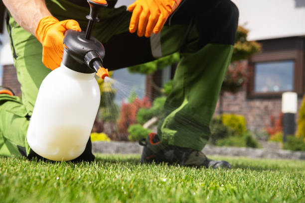 Best Termite Control Services  in Burton, MI