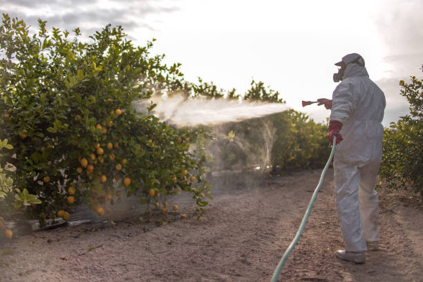 Best Residential Pest Control  in Burton, MI
