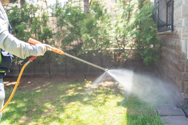 Best Pest Prevention Services  in Burton, MI