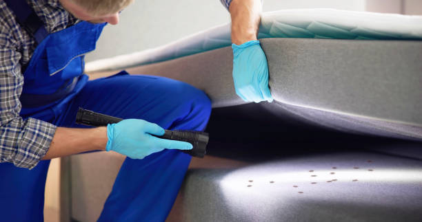 Best Emergency Pest Control  in Burton, MI