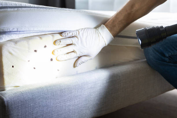  Burton, MI Pest Control Pros