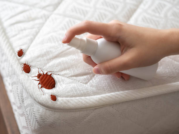 Best Ant Control Services  in Burton, MI