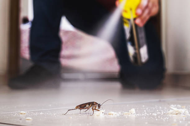 Best Rodent Control Near Me  in Burton, MI