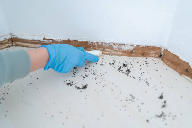 Best Pest Removal Services  in Burton, MI