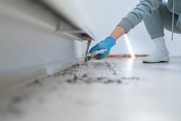 Best Pest Control Near Me  in Burton, MI