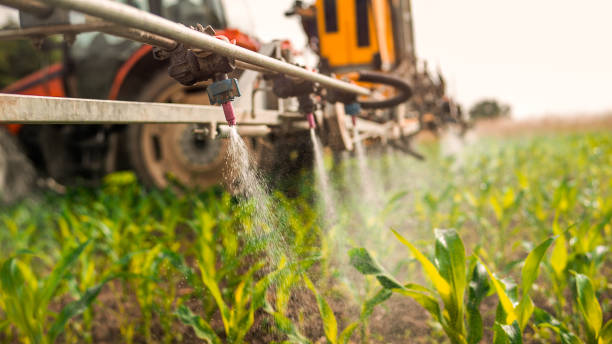 Best Best Pest Control Companies  in Burton, MI
